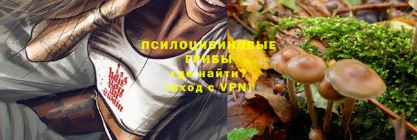 ALPHA-PVP Верея