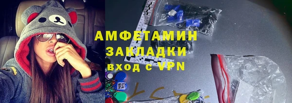 шишки Переславль-Залесский