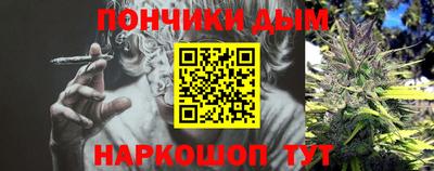 дмт Бийск