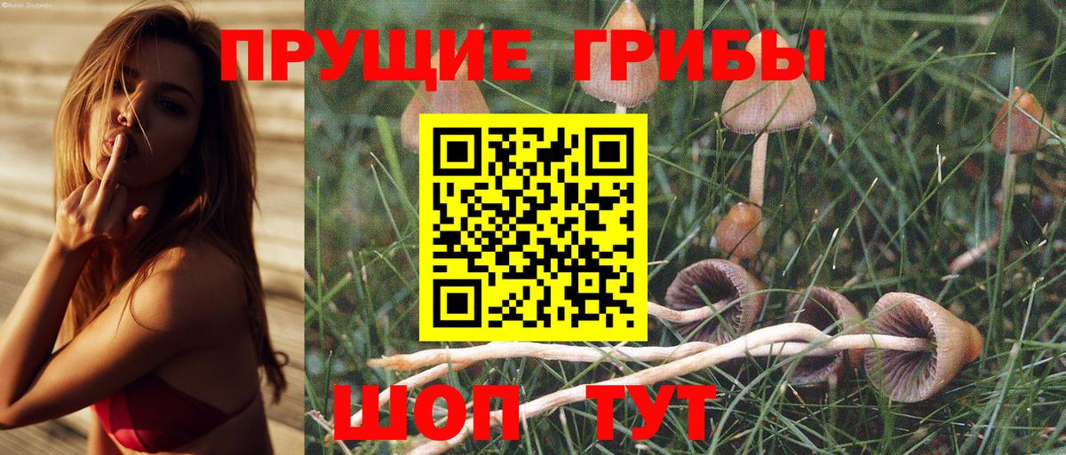 Галлюциногенные грибы Psilocybe  Галлюциногенные грибы Psilocybe  Коммунар  Вход с VPN 