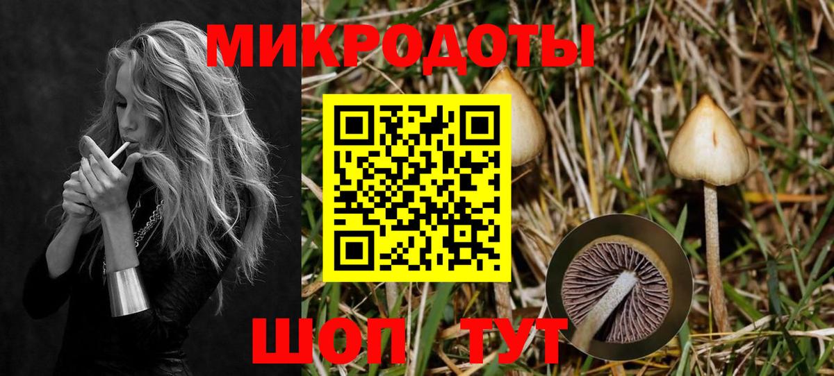 Псилоцибиновые грибы MAGIC MUSHROOMS Коммунар