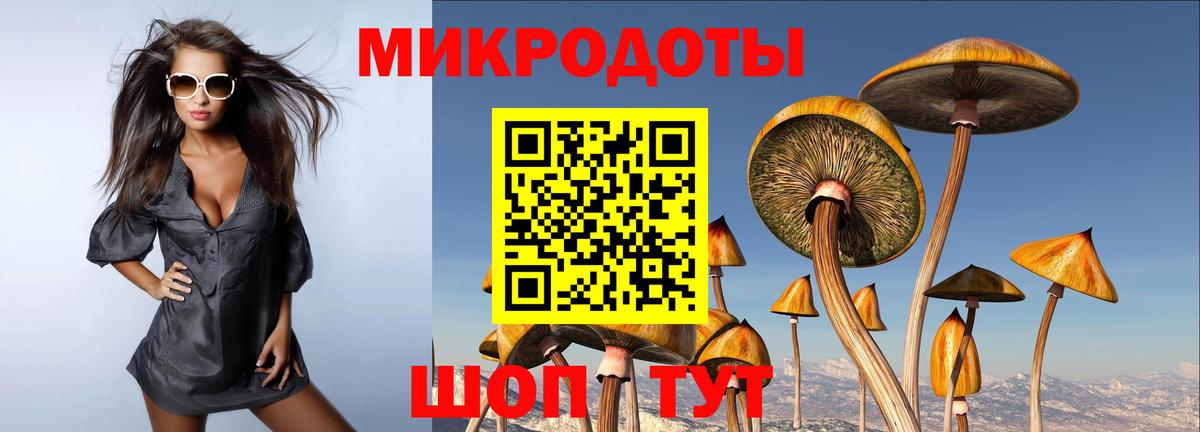 Псилоцибиновые грибы MAGIC MUSHROOMS Коммунар